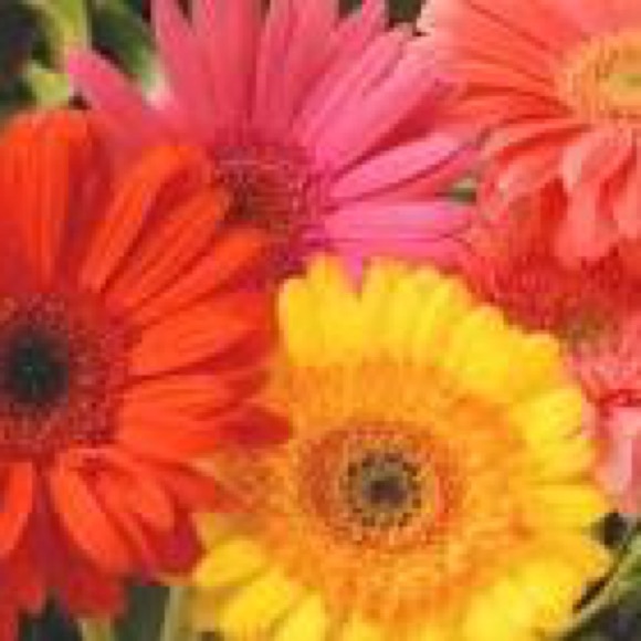 Meet your Posher, Kelly - Picture 1 of 1